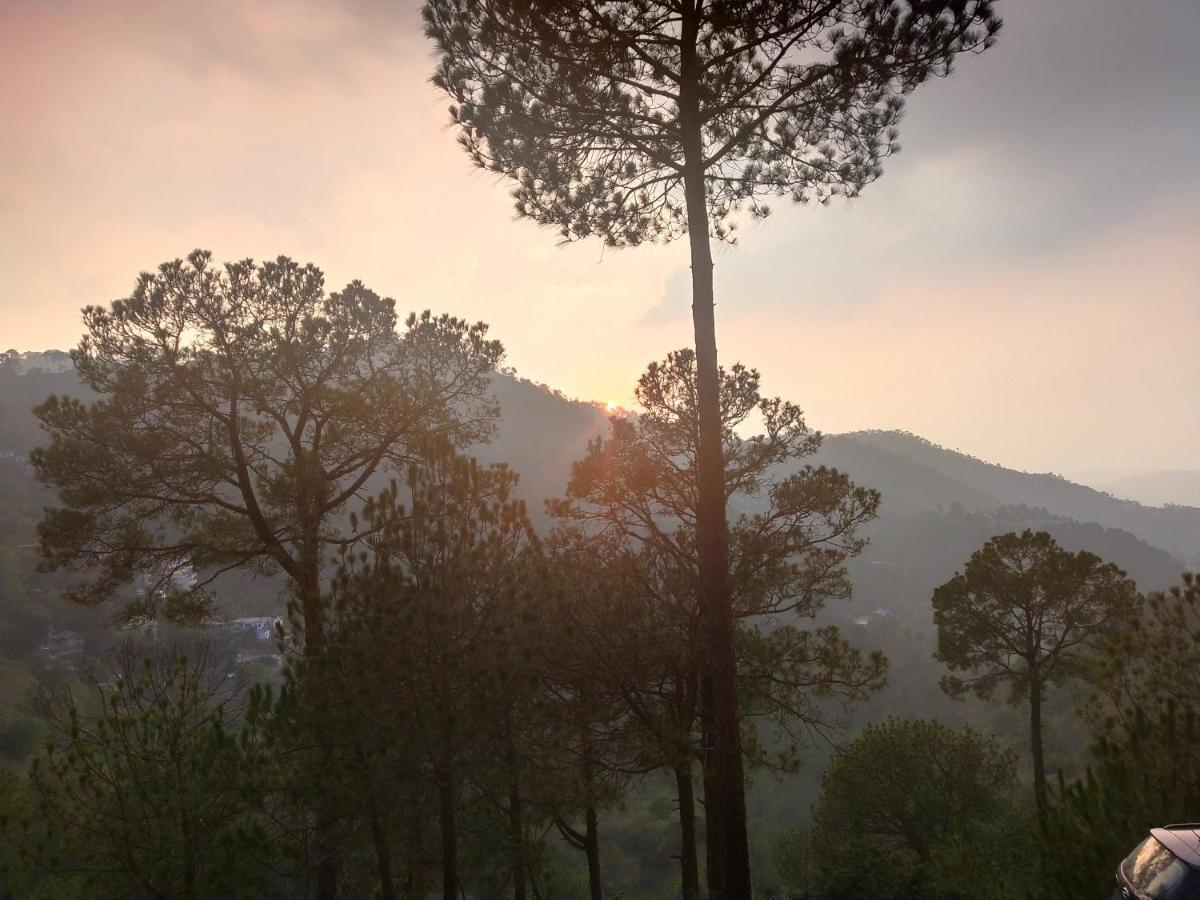 Pine Villa Kasauli Buitenkant foto