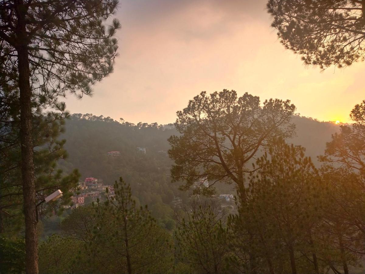 Pine Villa Kasauli Buitenkant foto