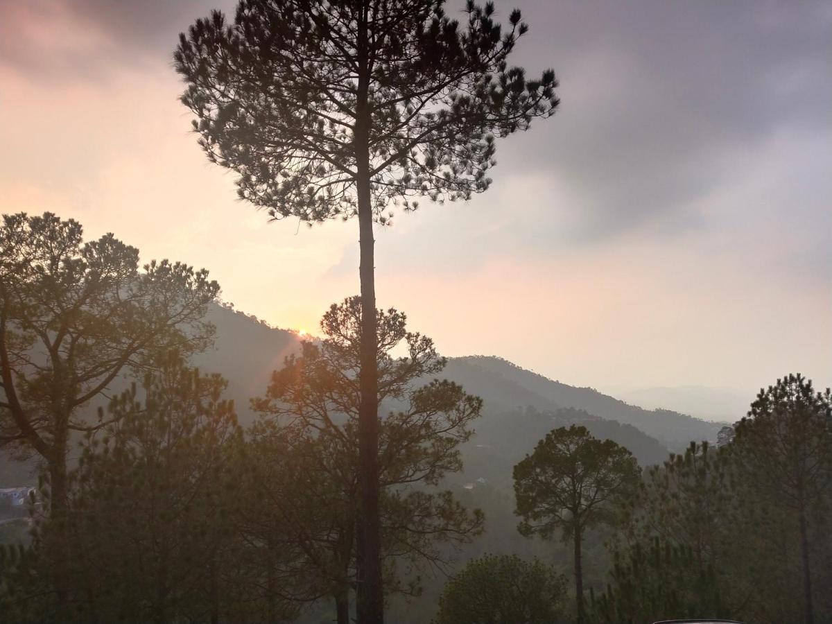 Pine Villa Kasauli Buitenkant foto