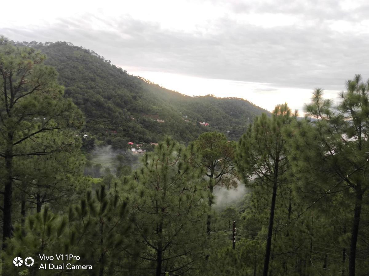 Pine Villa Kasauli Buitenkant foto