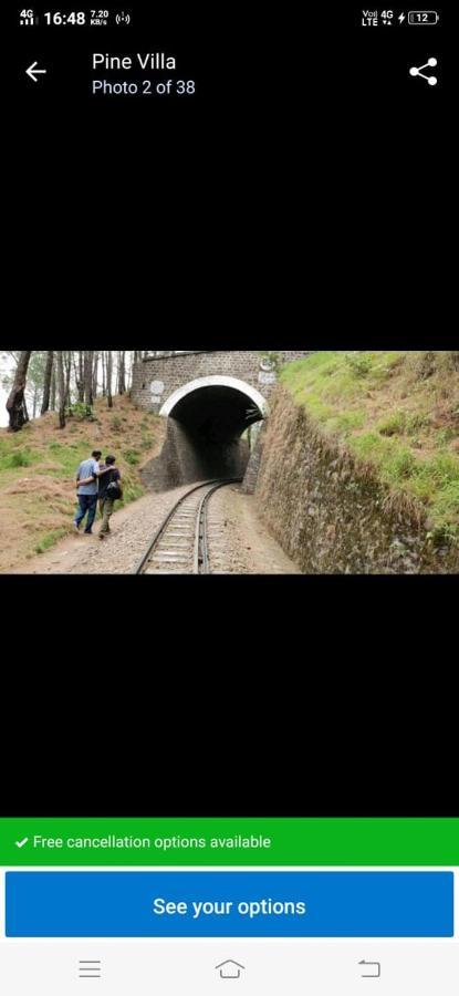 Pine Villa Kasauli Buitenkant foto