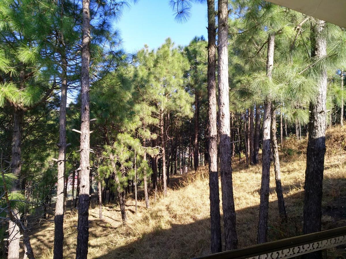 Pine Villa Kasauli Buitenkant foto