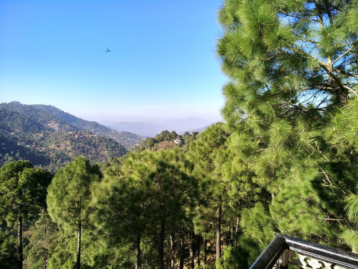 Pine Villa Kasauli Buitenkant foto