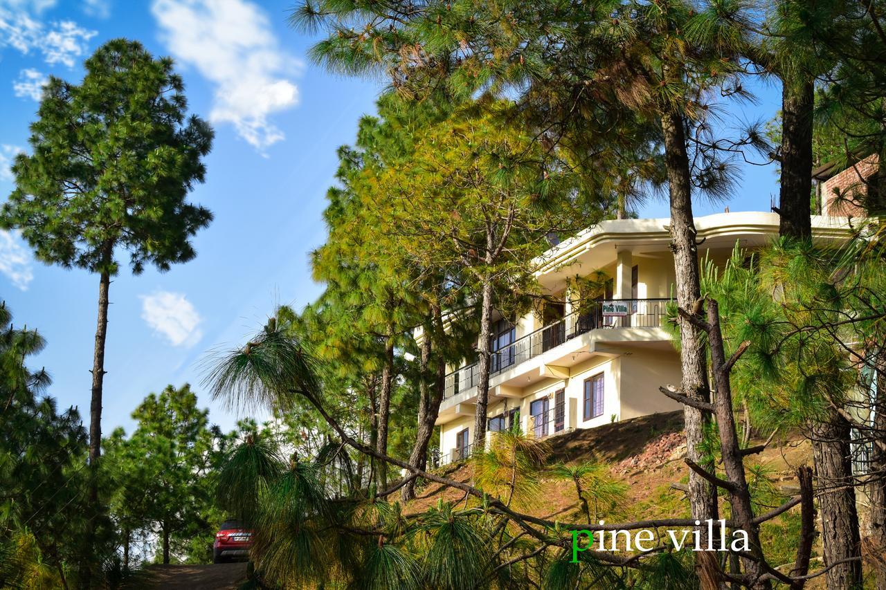 Pine Villa Kasauli Buitenkant foto